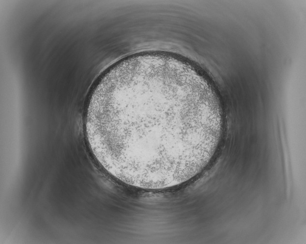X0000110861505200907161346