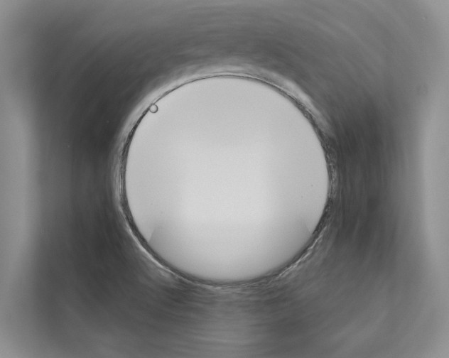 X0000110861512200907161346