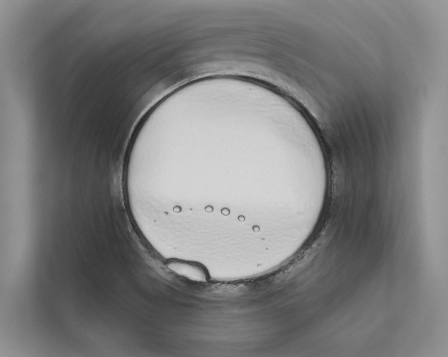 X0000110861513200907161346