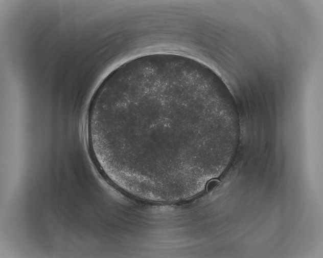 X0000110861515200907161346