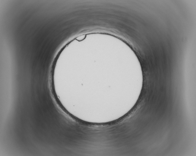 X0000110861518200907161346