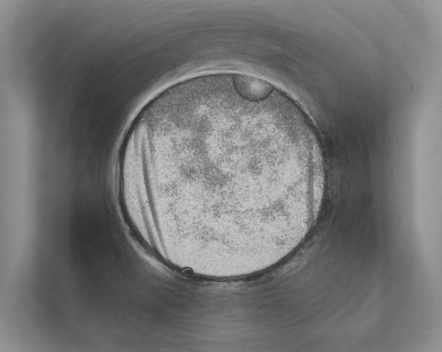 X0000110861519200907161346
