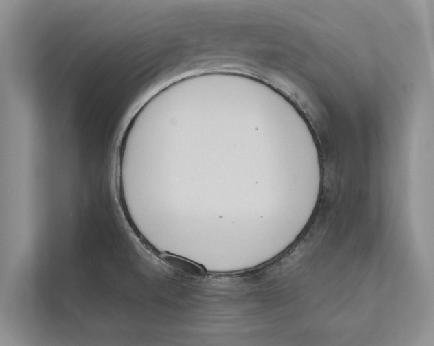 X0000110861520200907161346