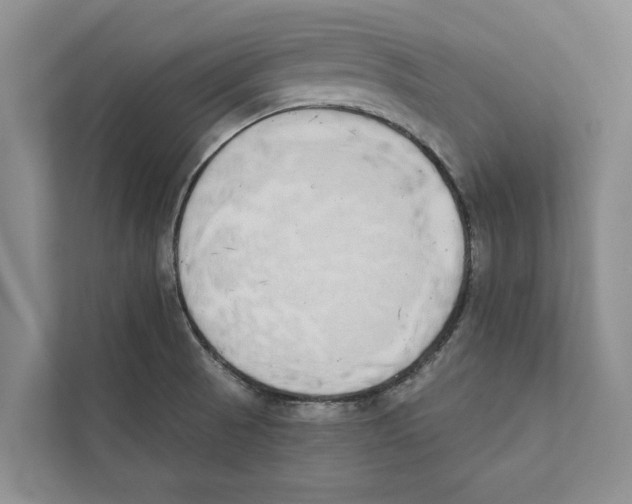 X0000110861521200907161346