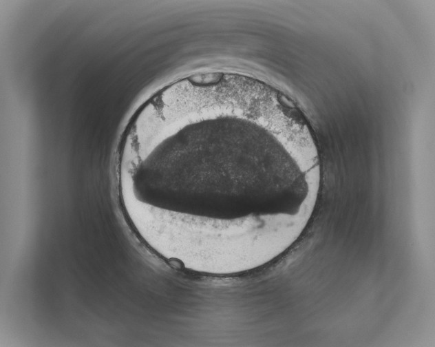 X0000110861522200907161346