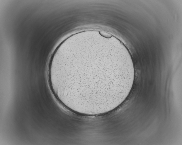 X0000110861523200907161346