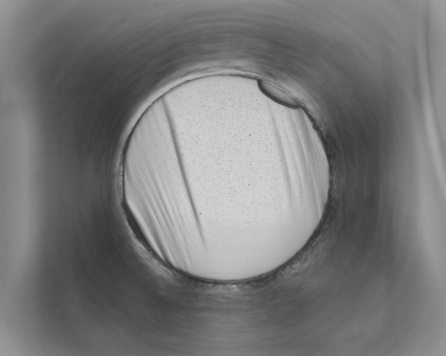 X0000110861524200907161346