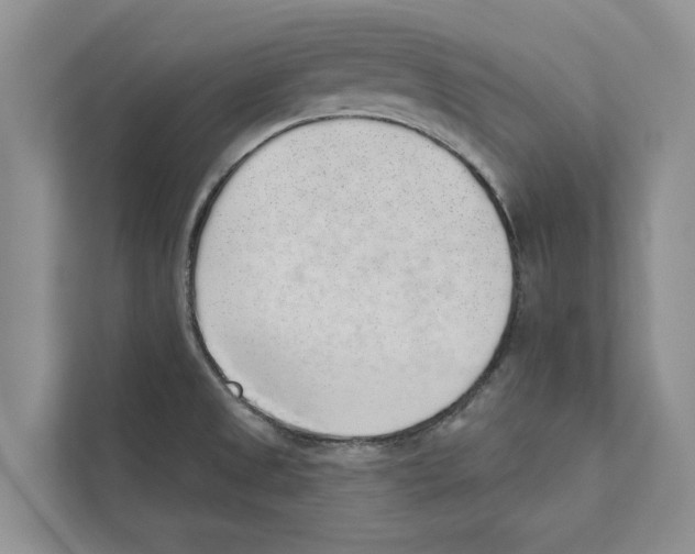 X0000110861525200907161346