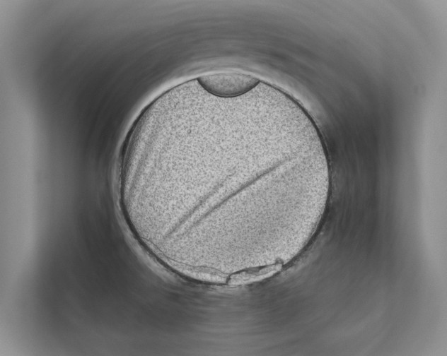 X0000110861526200907161346