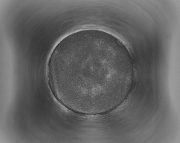 X0000110861527200907161346
