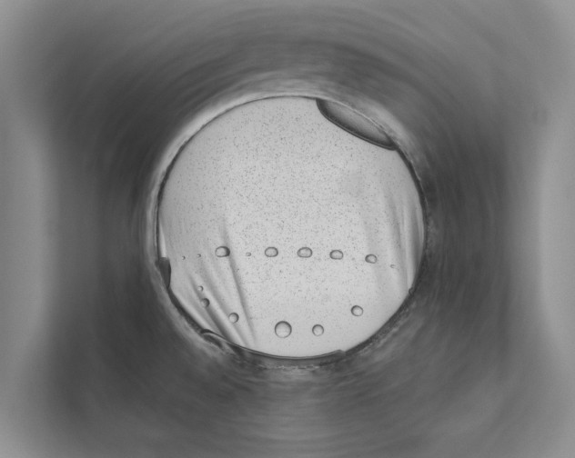 X0000110861528200907161346