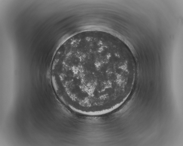 X0000110861529200907161346