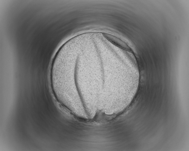 X0000110861530200907161346