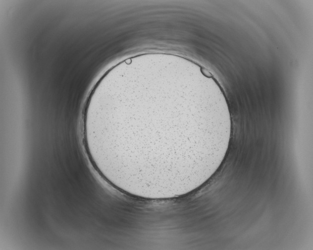 X0000110861531200907161346