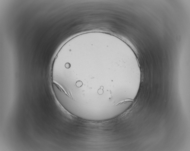 X0000110861532200907161346