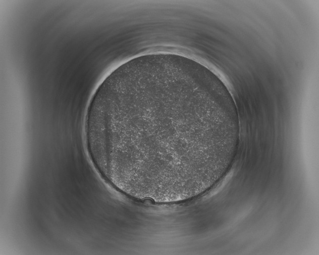 X0000110861533200907161346