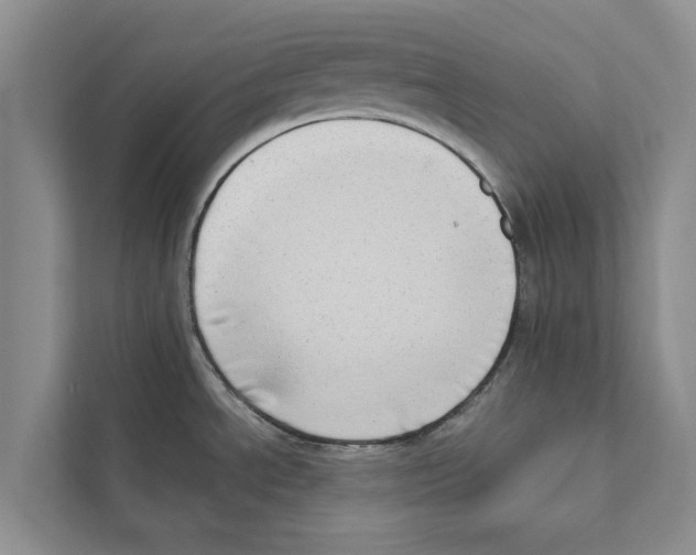 X0000110861534200907161346