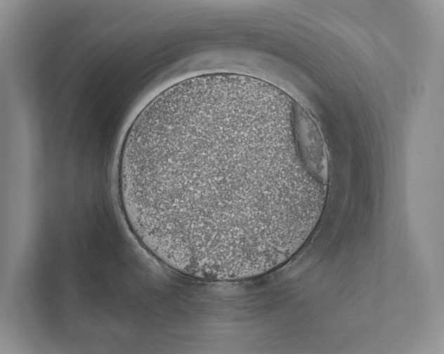 X0000110861536200907161346