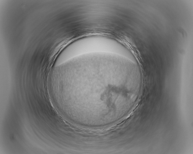 X0000110860001200907301401