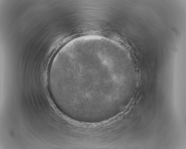 X0000110860002200907301401
