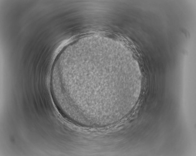X0000110860003200907301401