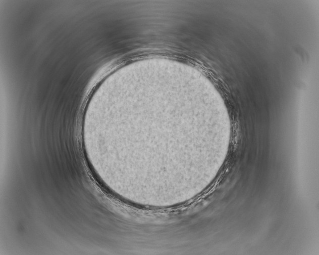 X0000110860004200907301401