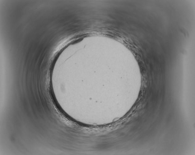 X0000110860005200907301401