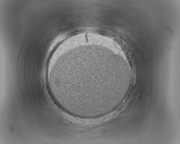 X0000110860006200907301401
