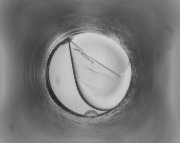X0000110860007200907301401