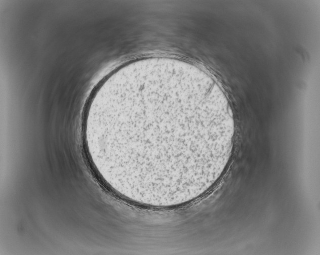 X0000110860008200907301401
