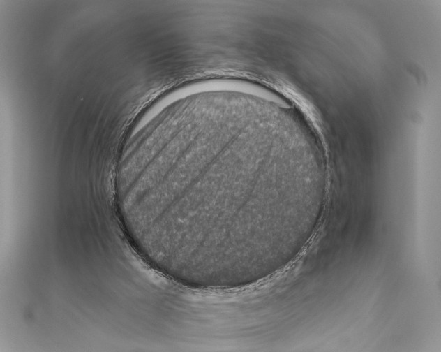 X0000110860009200907301401