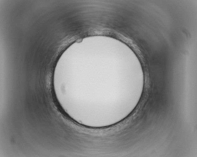 X0000110860010200907301401