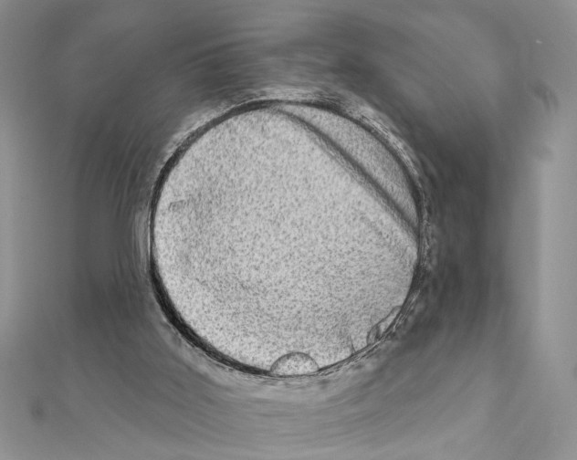X0000110860011200907301401