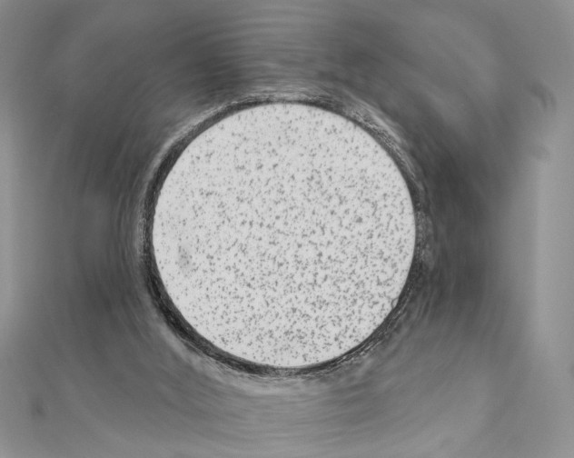 X0000110860012200907301401