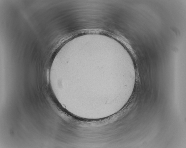 X0000110860013200907301401