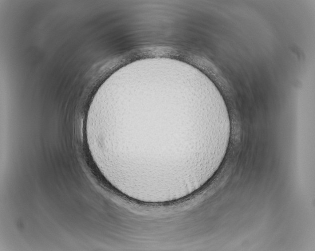 X0000110860014200907301401
