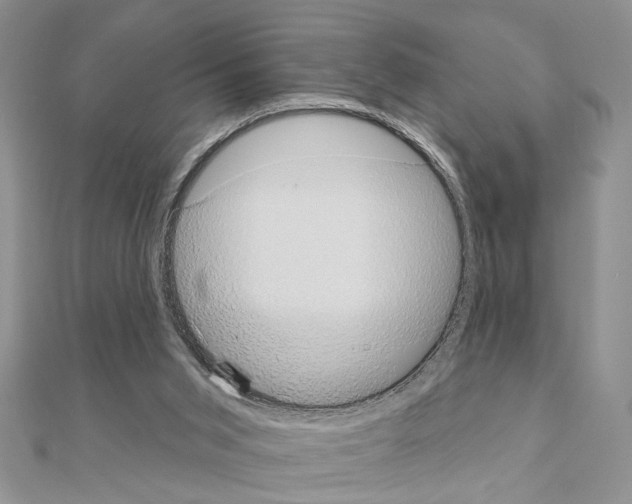 X0000110860015200907301401