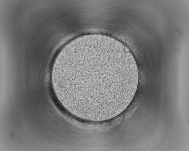 X0000110860016200907301401