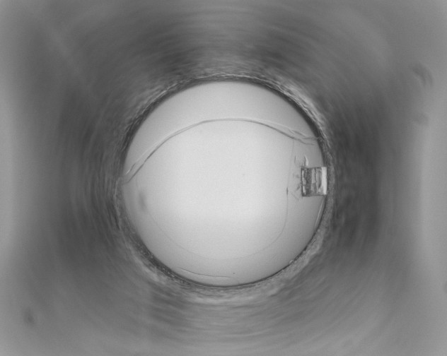 X0000110860017200907301401