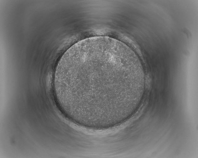 X0000110860018200907301401