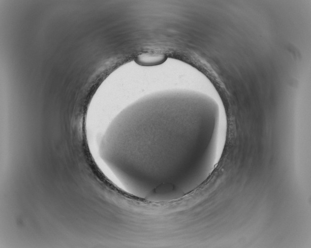 X0000110860019200907301401