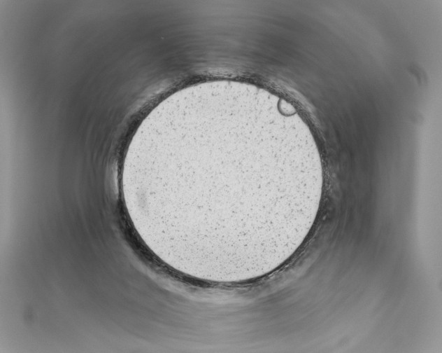 X0000110860020200907301401