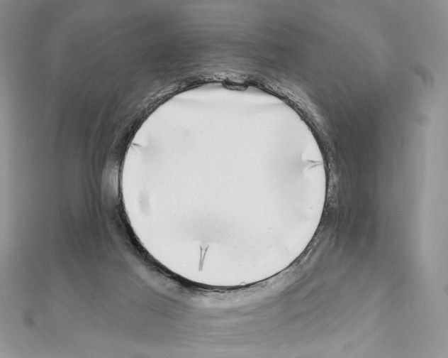 X0000110860021200907301401