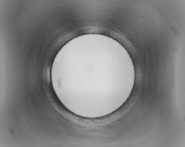 X0000110860022200907301401