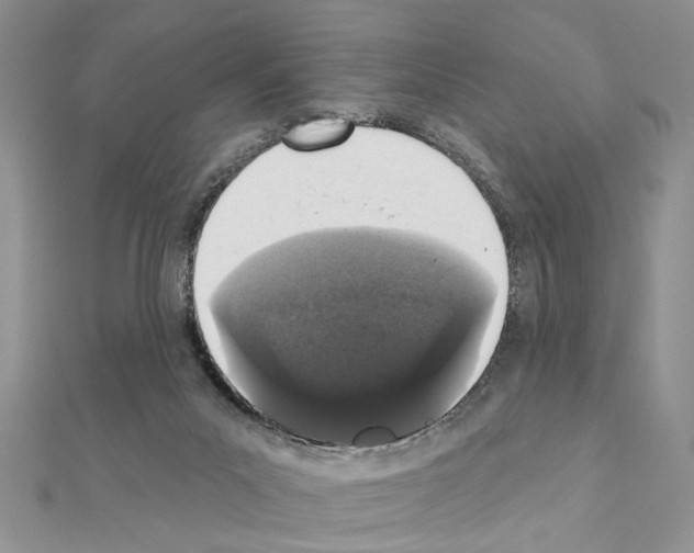 X0000110860023200907301401