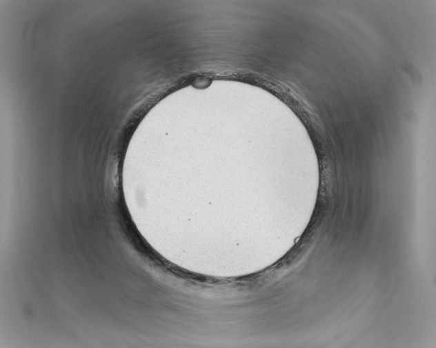 X0000110860024200907301401