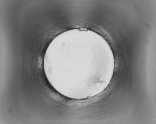 X0000110860025200907301401