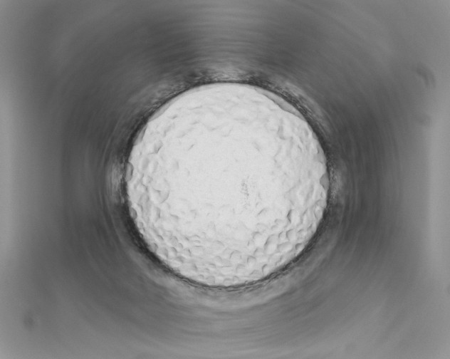 X0000110860026200907301401