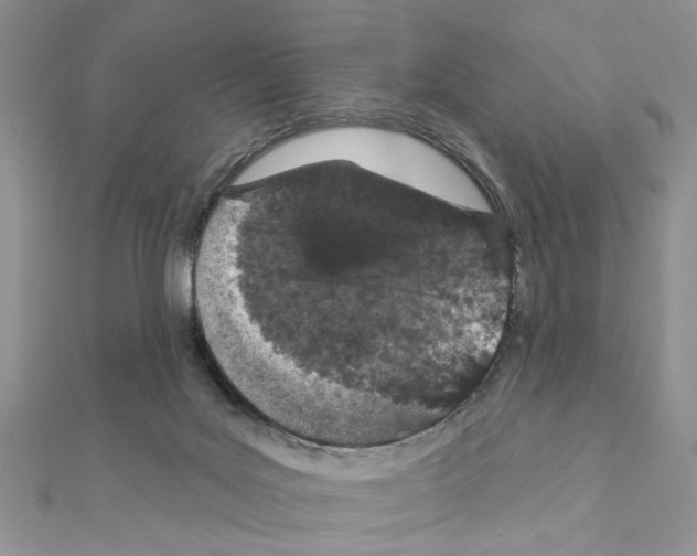 X0000110860027200907301401