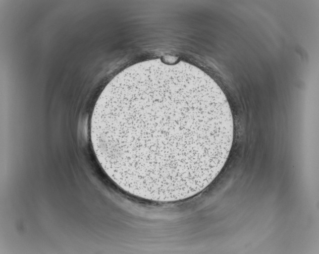 X0000110860028200907301401